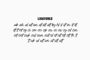 Budoin | Font Duo, a Script Font by Lemonthe (Thumbnail 6 of 7)