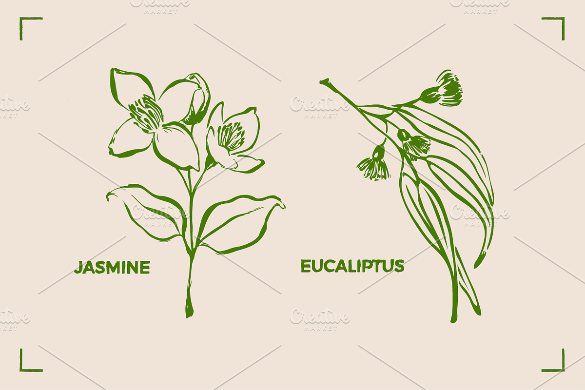AROMATHERAPY (26 illustrations), a Healthcare Illustration by Bonfloret Studio (Photo 3 of 11)