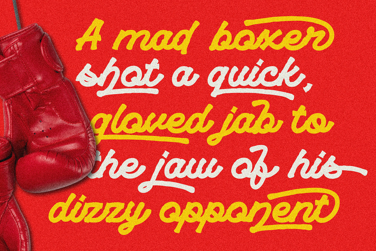 VT Playride - Font Vintage Script, a Script Font by ViactionType (Photo 8 of 13)