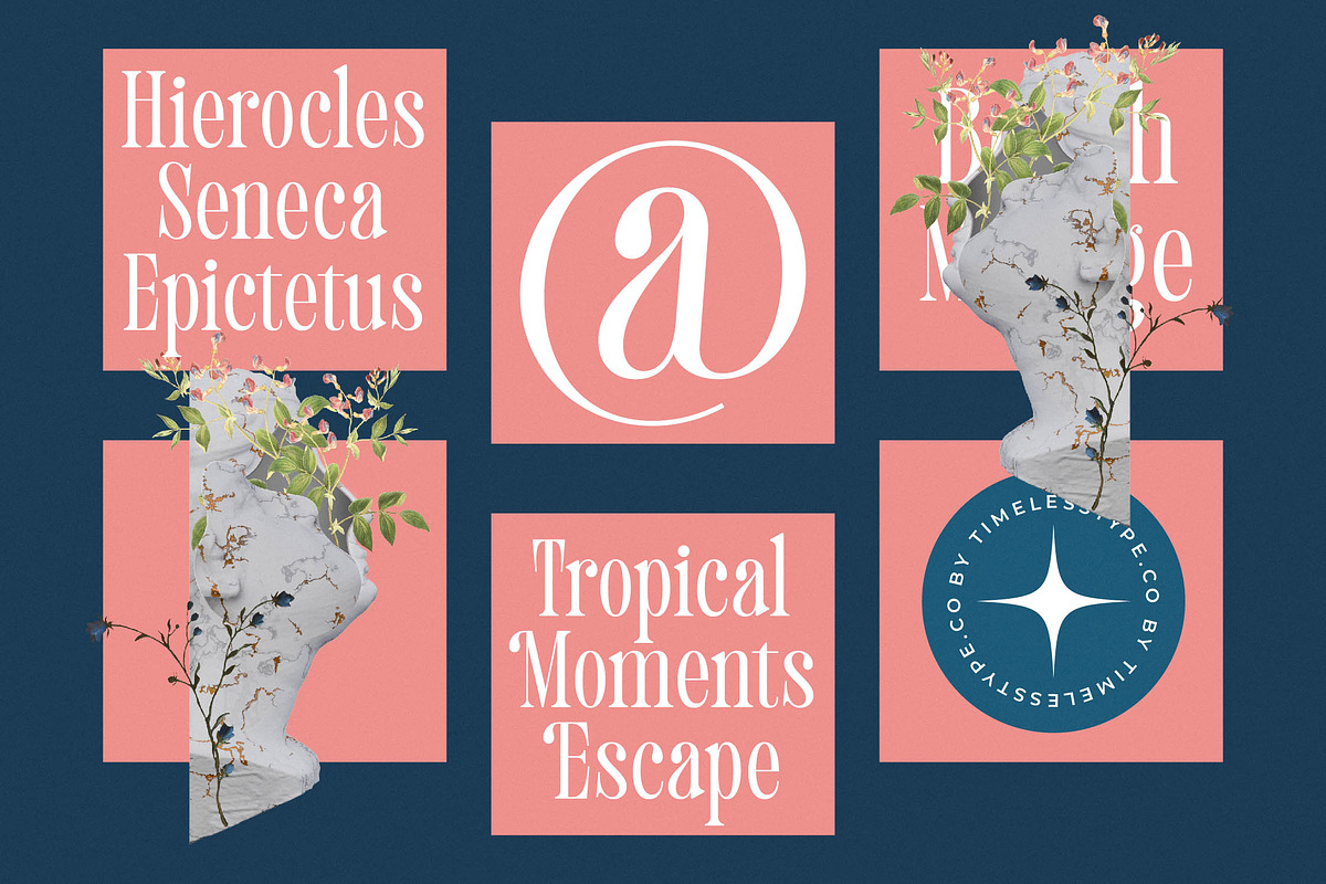 Trangels New Tall Serif Display, a Serif Font by timelesstype.co (Photo 13 of 20)