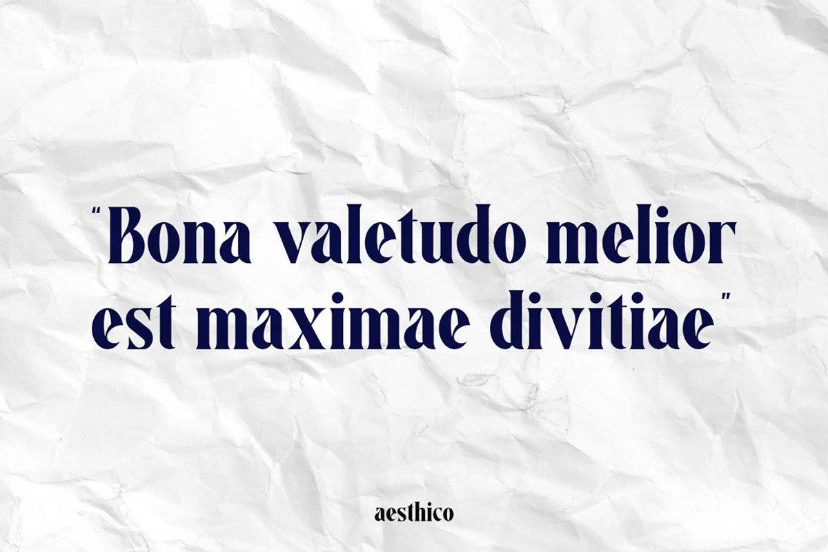 Aesthico Serif Font Family (6 Fonts), a Serif Font by Heinzel Std (Photo 18 of 21)