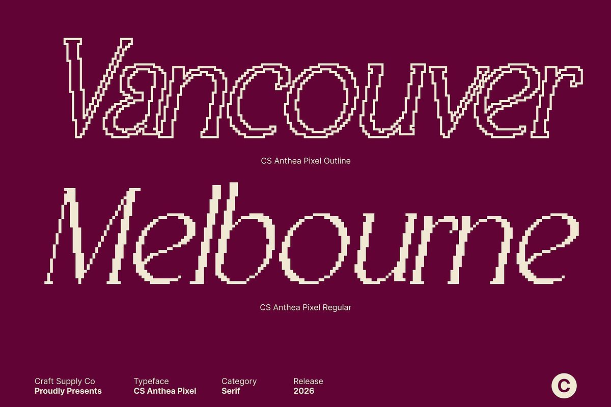 CS Anthea Pixel, a Serif Font by Craft Supply Co. (Photo 3 of 8)