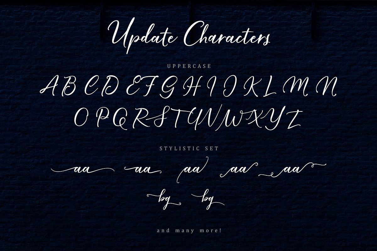 Hardwired Script - UPDATE, a Script Font by FadeLine Studio (Photo 13 of 13)