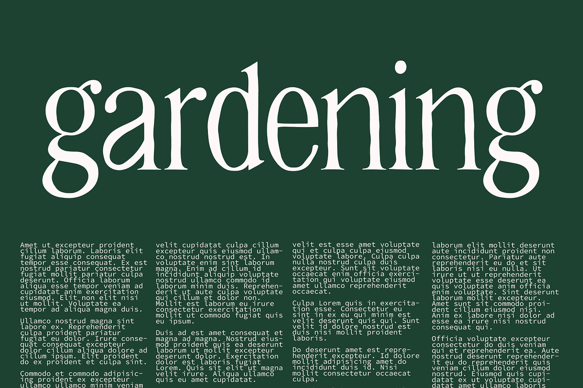 HANNAH & CLAY | handwritten serif, a Serif Font by Loryn Ipsum (Photo 8 of 12)