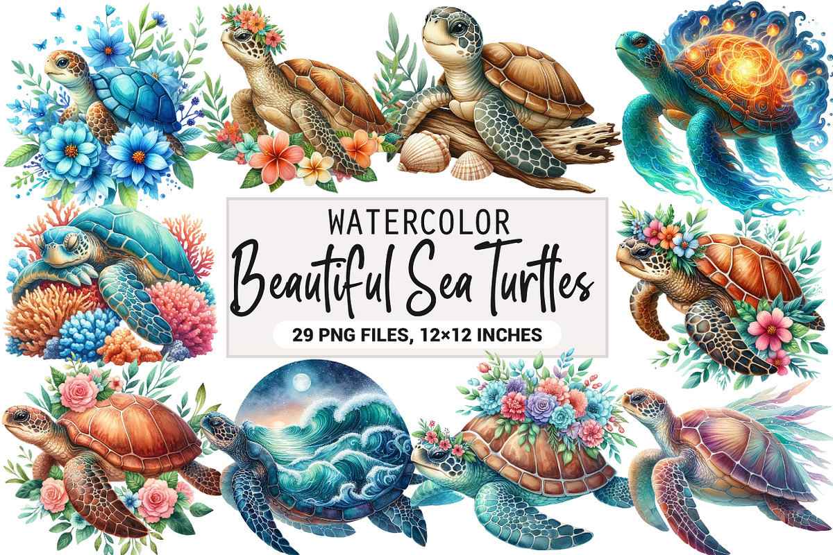 Beautiful Sea Turtles PNG Bundle, an Illustration by DreamArtGraphic (Photo 1 of 7)