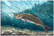 Fishing illustration., an Object Illustration by Countryside life (Thumbnail 2 of 7)