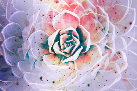 Floral background with fade mode