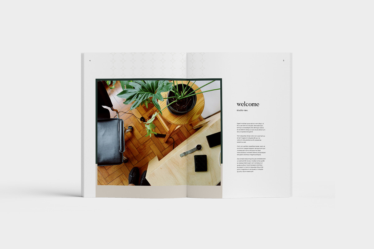 Raw Pitch Pack, a Brochure Template by Loc Tropis (Photo 4 of 19)