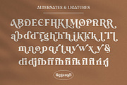 Regamel - Bold Serif Font, a Serif Font by Mbonster Design Studio (Thumbnail 8 of 12)