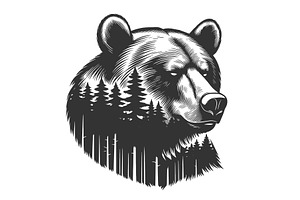 Bear Head With Forest Silhouette, an Animal Illustration by AlexArt