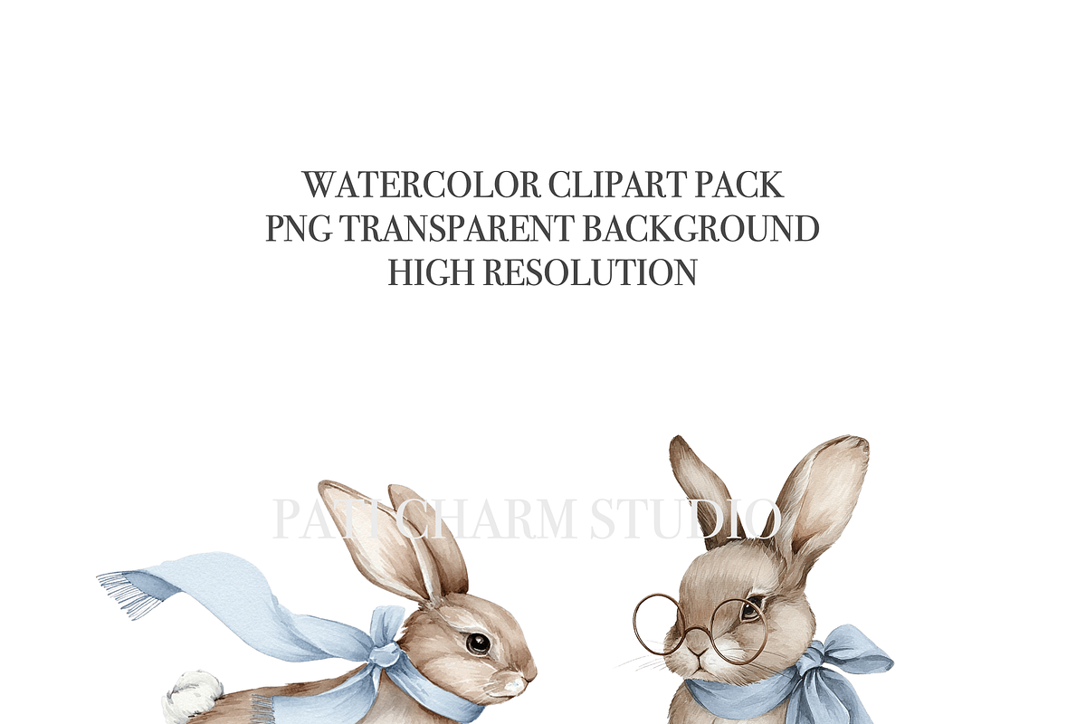 12 Boho Bunny Clipart, an Animal Illustration by Pati Charm Studio (Photo 5 of 8)