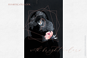 Watercolor Col. Dainty Blossom, a Texture Illustration by Inky Jar Design Studio (Thumbnail 12 of 13)