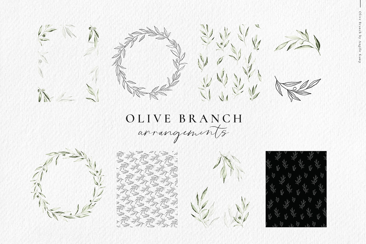 Olive branch watercolor illustration, an Illustration by Angele Kamp (Photo 8 of 13)