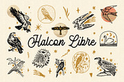 Halcon Libre Bundle, an Animal Illustration by Annie Konst (Thumbnail 1 of 21)