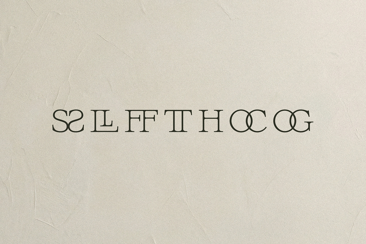 Aurora Muse - Modern Duo, a Script Font by Davide Bassu (Photo 21 of 22)