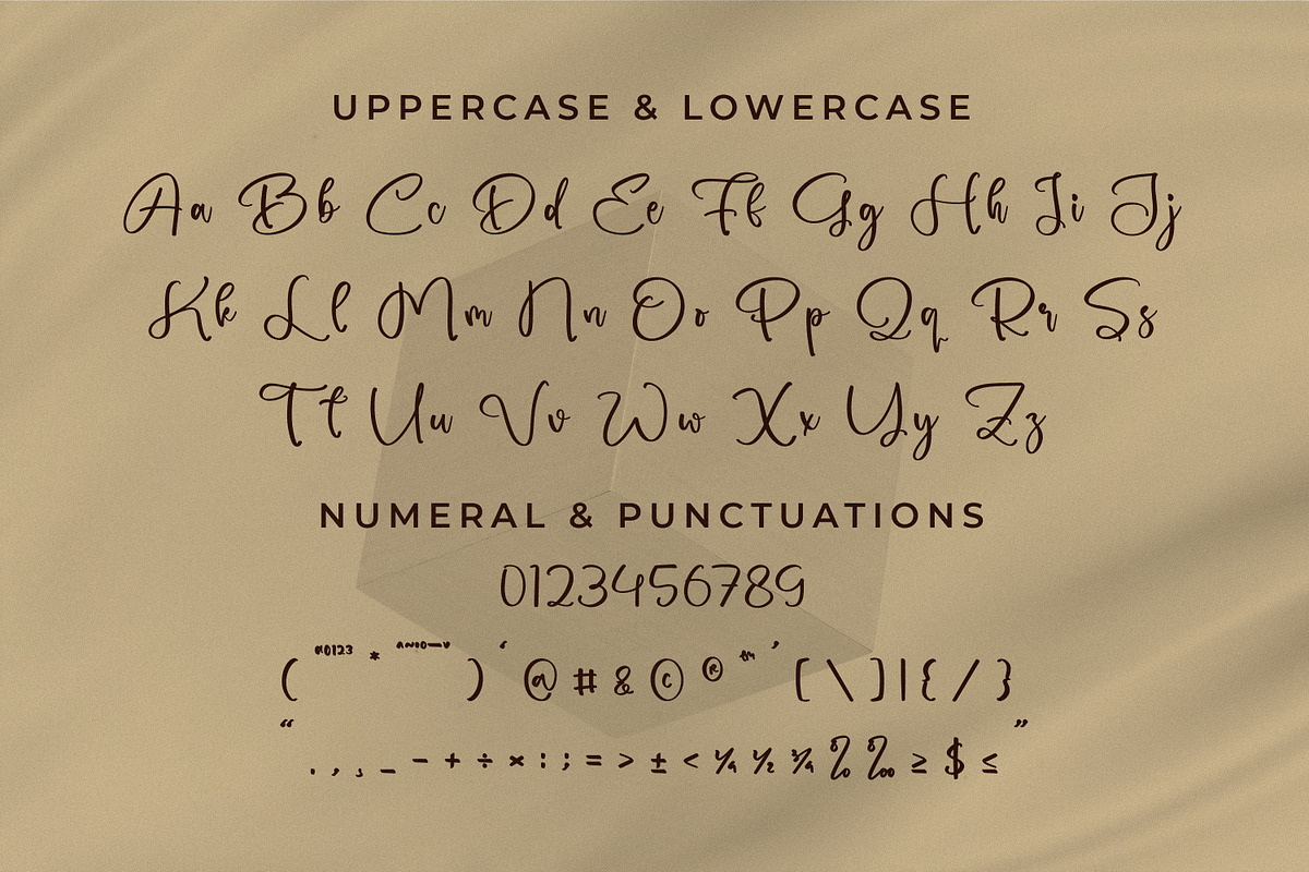 Sauxlle, a Script Font by Integritype Studio (Photo 9 of 15)