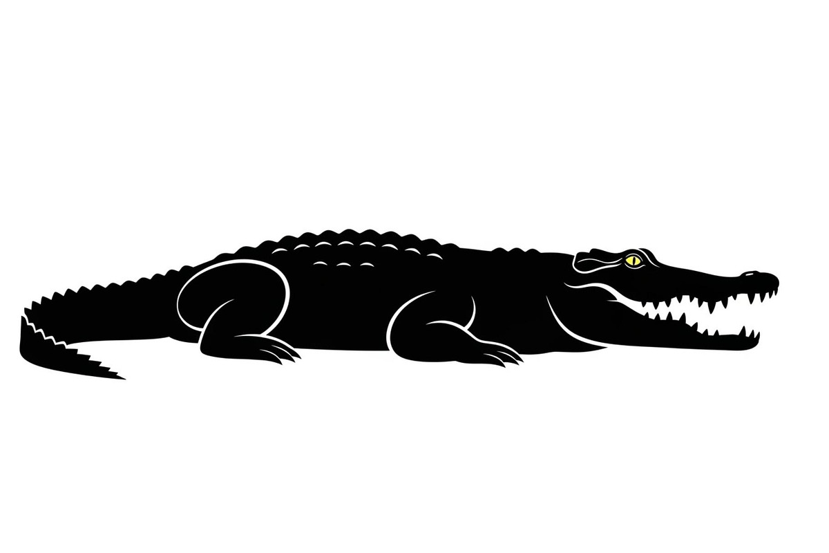 Crocodile Alligator Vector Bundle, an Illustration by jahid234 (Photo 33 of 51)