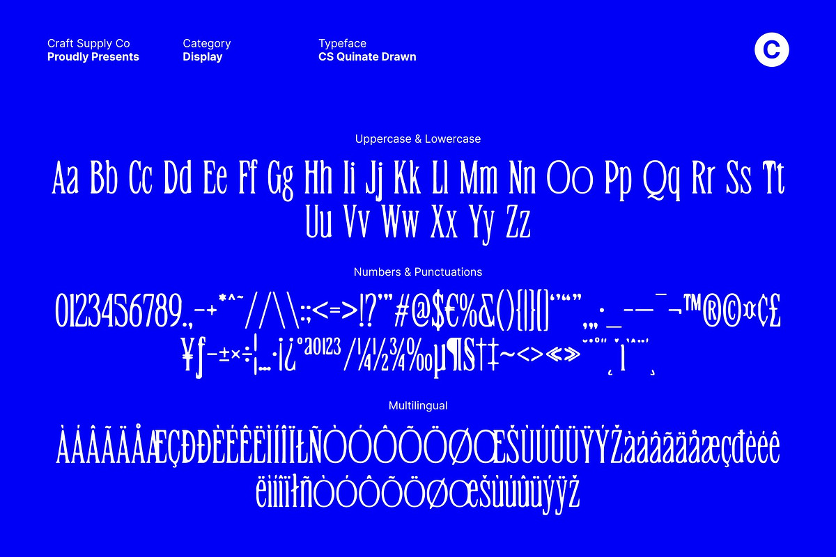 CS Quinate Drawn, a Serif Font by Craft Supply Co. (Photo 7 of 8)