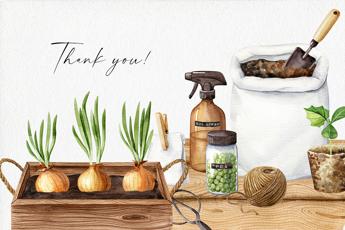 Home Garden watercolor collection, an Illustration by Natalia Fedorova (Photo 10 of 10)
