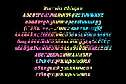 Marvin regular & oblique, a Slab Serif Font by NREY (Thumbnail 3 of 4)