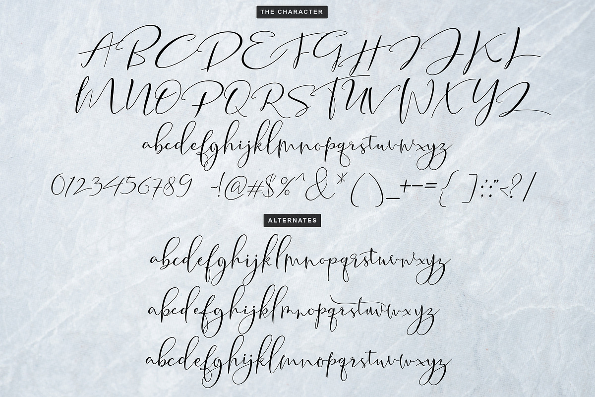 Tifany Script, a Script Font by Moly Mol (Photo 9 of 11)