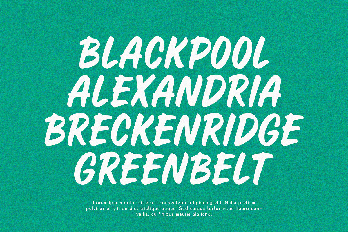 Craven - Display Font, a Script Font by Alpaprana (Photo 4 of 9)