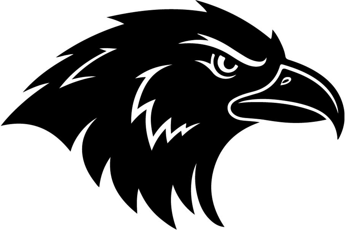 Bird Silhouette Vector Mega Bundle, an Animal Illustration by Designer_Momina (Photo 9 of 21)