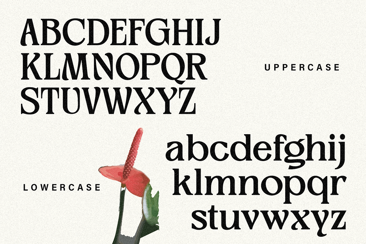 Meginer Nineties - Modern Serif, a Serif Font by Comactype Foundry (Photo 21 of 22)
