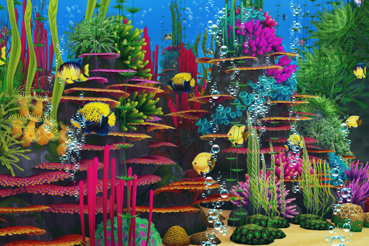 Colorful Sea Fish, an Animal 3D Model by Souchenki (Photo 2 of 4)