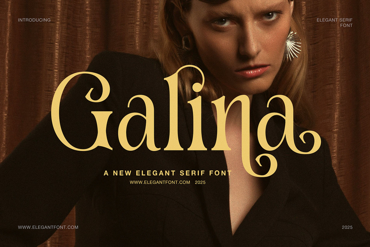 Galina Elegant Serif Font, a Serif Font by Elegant Font (Photo 1 of 8)
