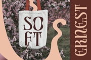 CS Evaris – Decorative Font, a Serif Font by Craft Supply Co. (Thumbnail 7 of 8)