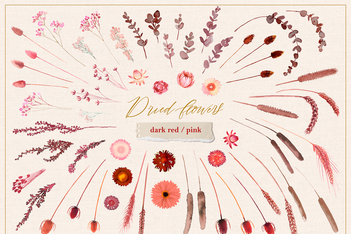 Dried flowers & wreaths, watercolor, an Illustration by Lore_V (Photo 8 of 11)