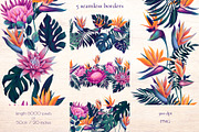 Monstera and Strelitzia watercolor, an Illustration by Salted Galaxy (Thumbnail 11 of 15)