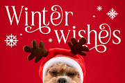 Holly Candle Christmas Font, a Serif Font by Rasio Studio (Thumbnail 3 of 7)