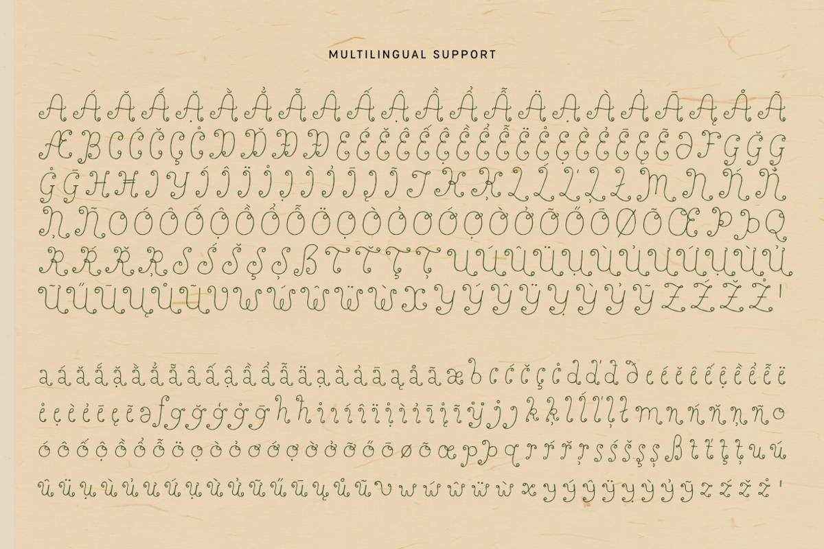 Perfect Sprouts | Whimsical Font, a Handwritten Font by type peace (Photo 19 of 20)