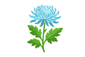 Chrysanthemum flower object. Hand, an Object Illustration by Nenahliadava Design