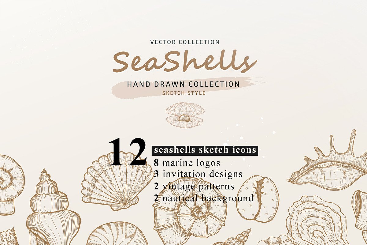 Seashells design. Natural logos, a Decorative Illustration by WalnutBird (Photo 1 of 6)
