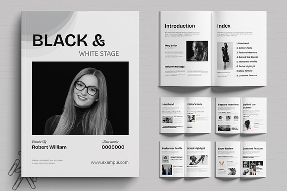 Artistic Black and White Show Scene preview 8