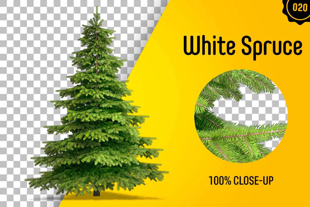 CUT OUT TREES - 60 PCS BUNDLE, a Packaging Mockup by 3DSTORE (Photo 21 of 63)