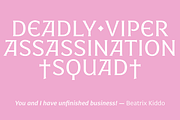 LC Gianluca, a Serif Font by CTCH (Thumbnail 3 of 15)