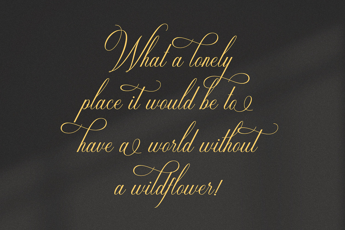 Cathialla calligraphy script font, a Script Font by nizarbagasm (Photo 2 of 9)