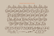 Flourel, a Script Font by Gleb Guralnyk (Thumbnail 10 of 11)