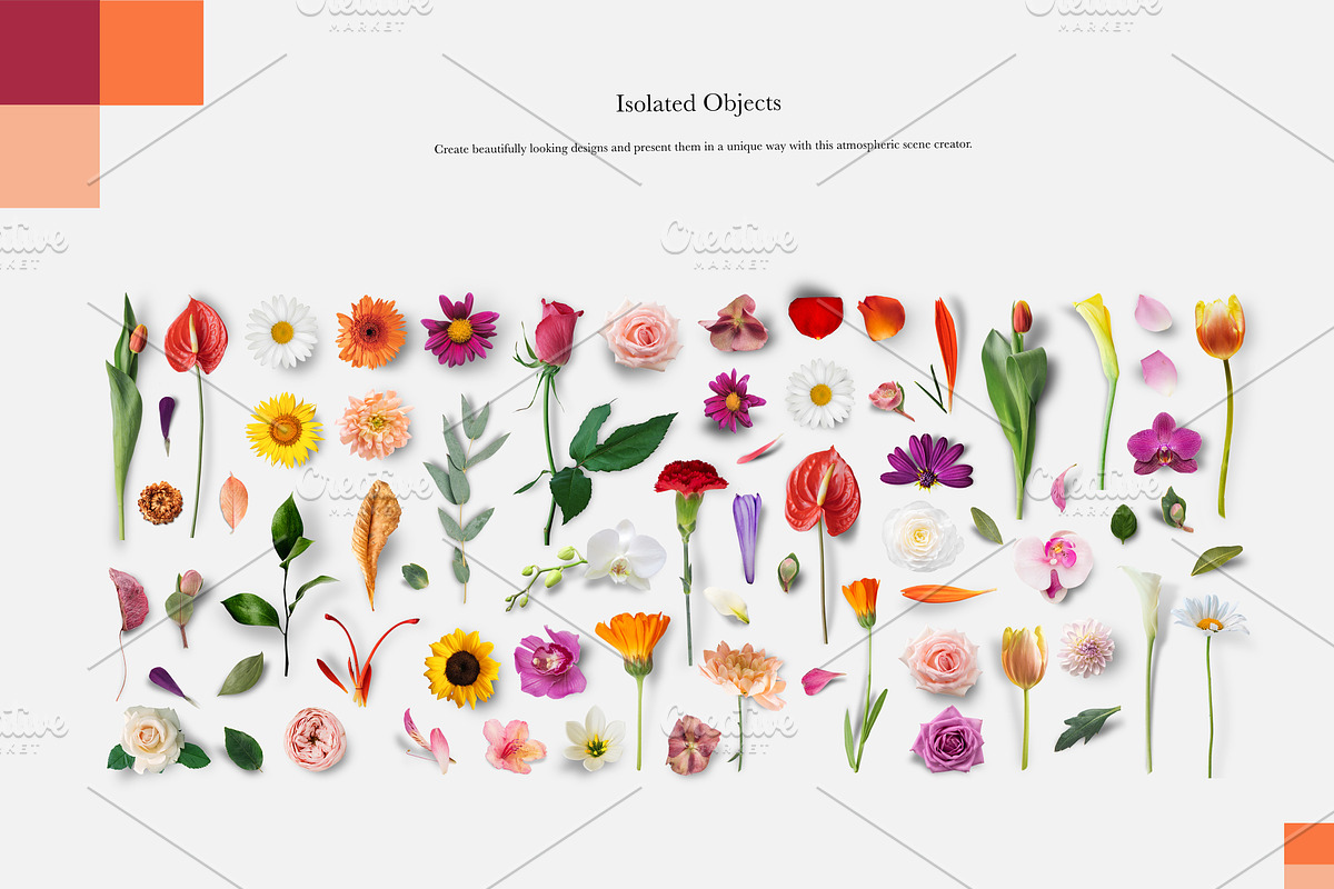 Mega Scene creator Bundle, a Books & Magazine Mockup by Kzara Visual Concepts (Photo 11 of 19)