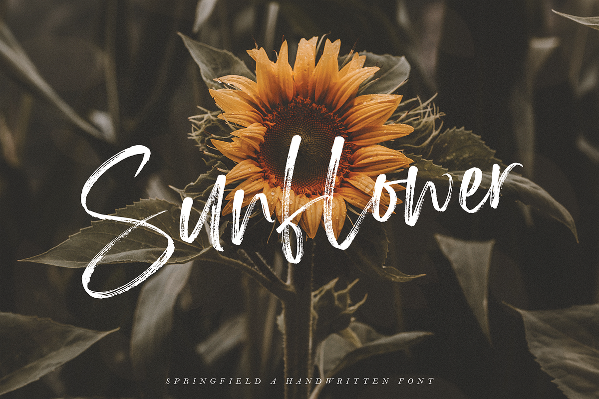 Springfield | Handwritten Font preview 8