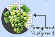 Watercolor Spring Food Clipart PNG, an Illustration by Canvas Craft (Thumbnail 2 of 7)