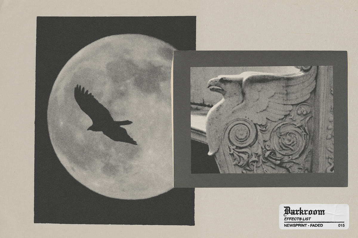 Darkroom - Analog Photo Toolkit, a Preset Add-On by MiksKS (Photo 22 of 27)