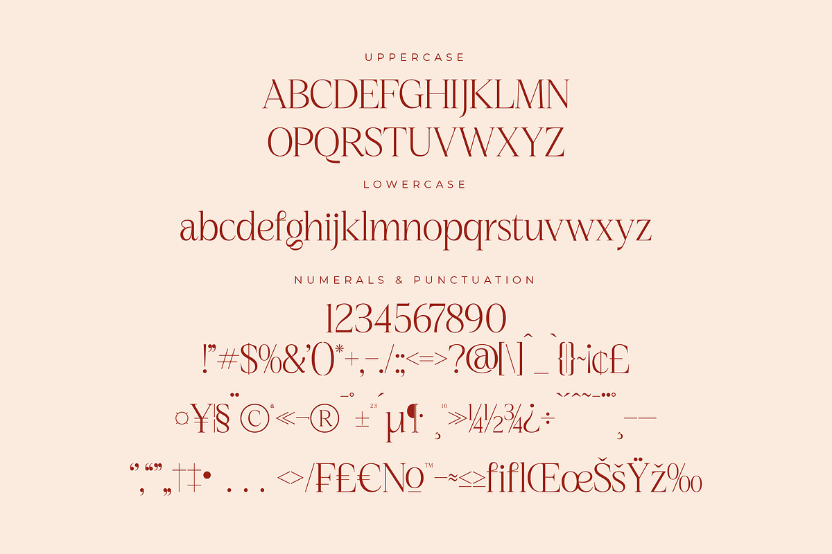 Nagista Modern Serif Font, a Serif Font by Letterena Studios (Photo 12 of 15)