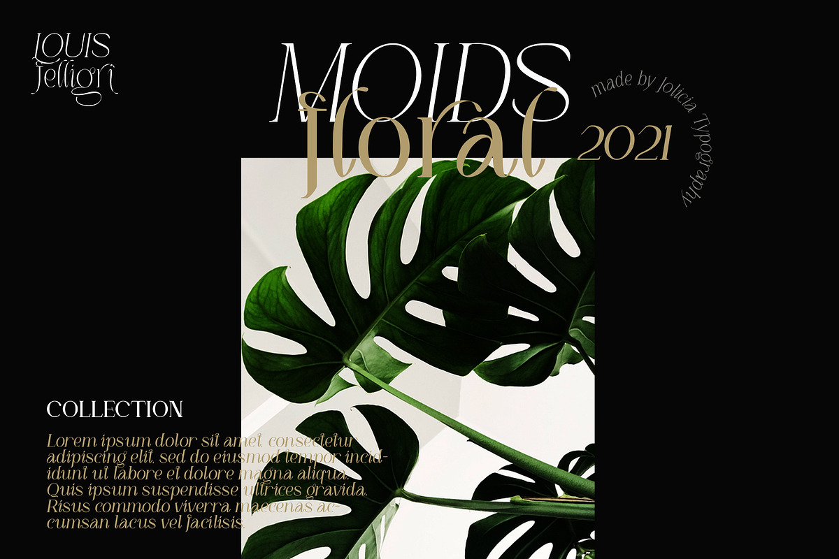 LOUIS felligri | Serif Display Font, a Serif Font by Jolicia Type (Photo 9 of 15)