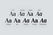 Silvex Editorial Serif Family Font, a Serif Font by UICreative (Thumbnail 5 of 13)
