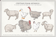 Farm Animals Set, an Object Graphic by Siosay (Thumbnail 9 of 12)